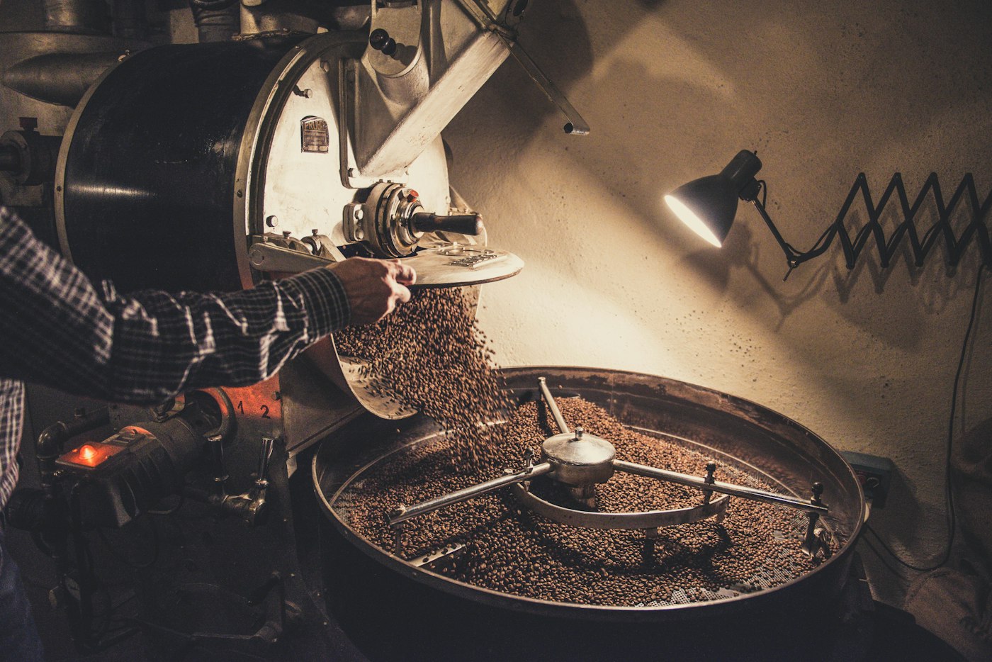 Een koffiebrander laat verse bonen uit de brandtrommel lopen